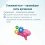  Неделя сохранения здоровья головного мозга